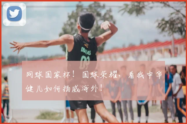 网球国家杯!国球荣耀,看我中华健儿如何扬威海外!